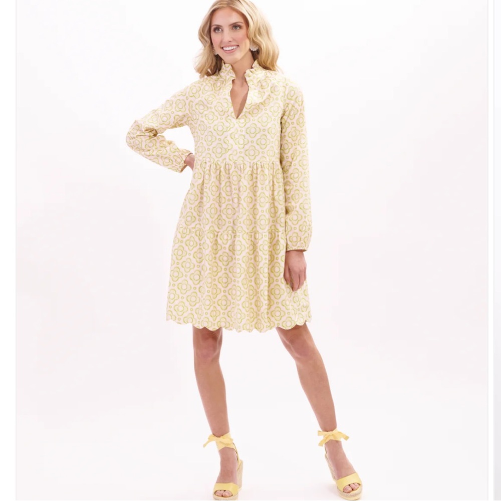 Nwt kathleen maeve Avalon Swing Dress | Palm Beach Clover sz S #JK2